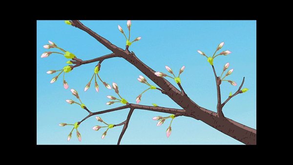 Каштан Весенняя почка