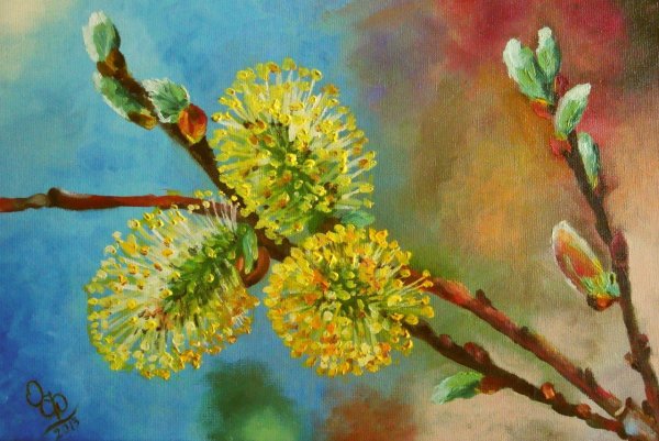 Раскраска почки на деревьях