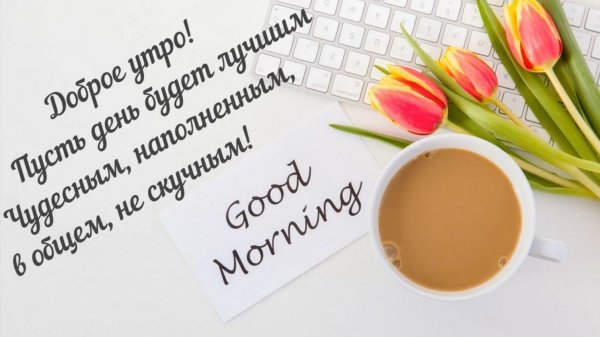 Светлого дня