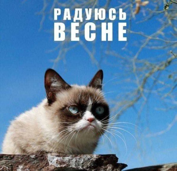 Ghjcsgf.nczvtldtlb b yfxbyf.n CF;fnmgjlcyt;ybrb