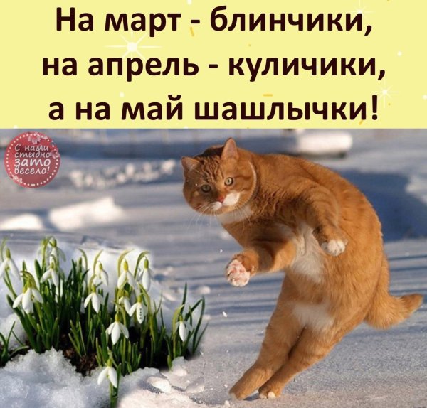 Смешные подснежники