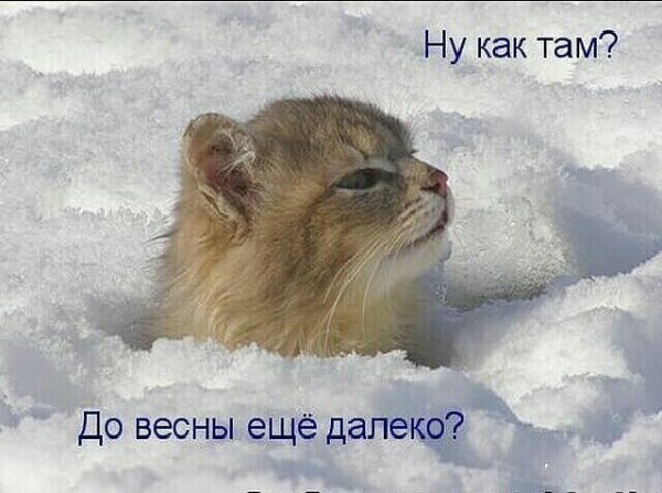 Вот и Весна пришла