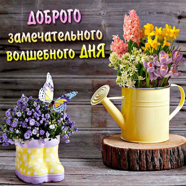 Доброе пятничное утро