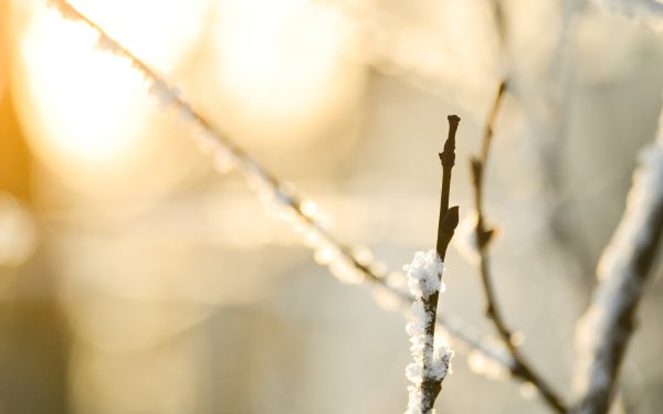 Весна снег солнце