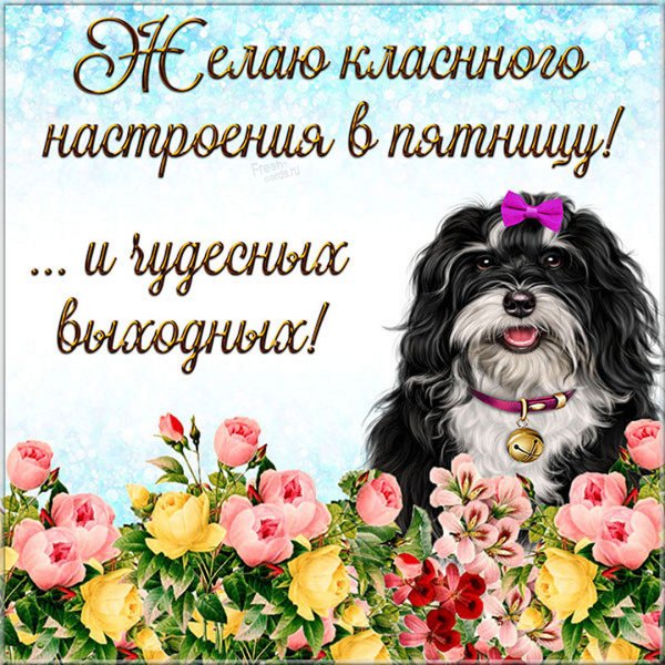 Удачной пятницы и хорошего настроения