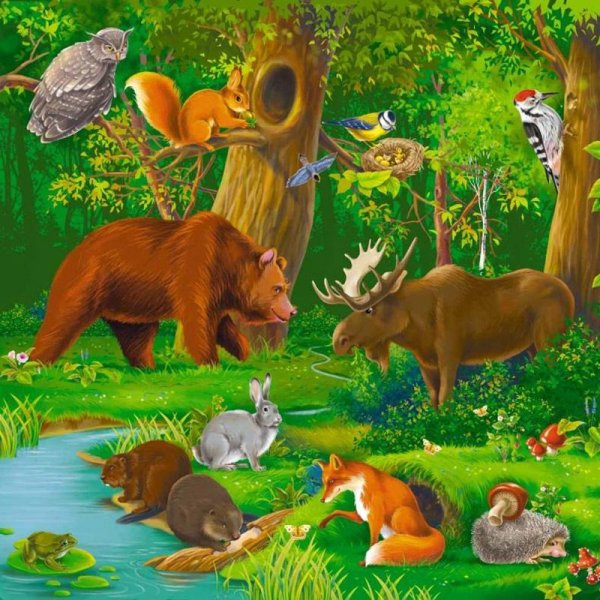 Дикие животные леса картинки для детей