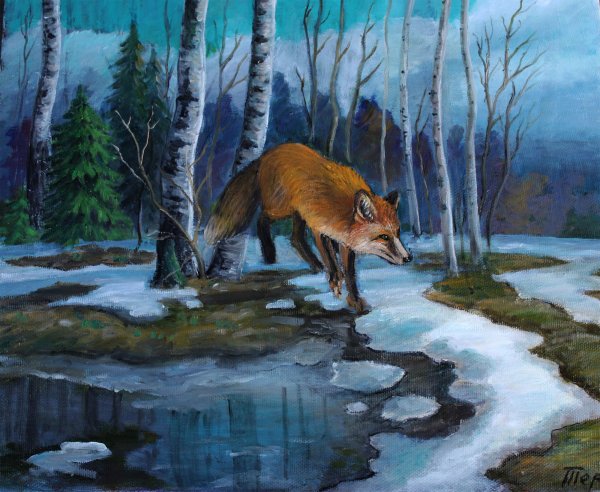 Лесные жители зимой