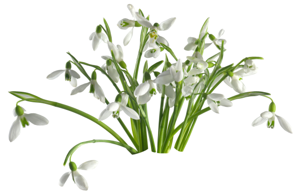 Признаки весны