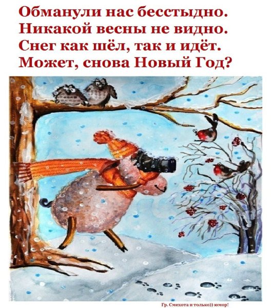 Обманули нас бесстыдно никакой