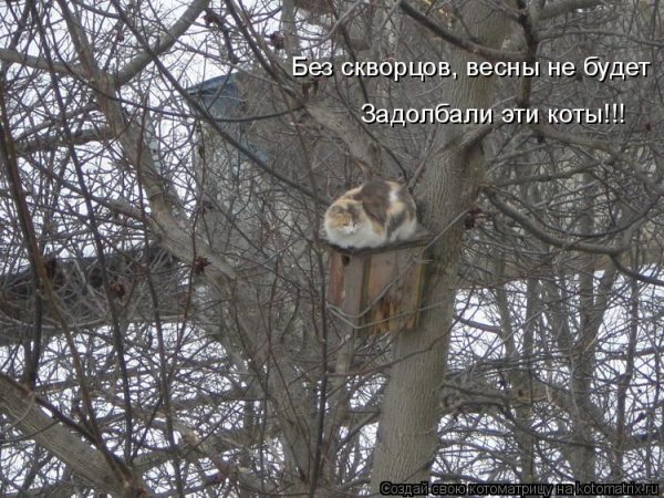 Весны не видать