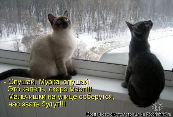 Люди которые зиму провожали