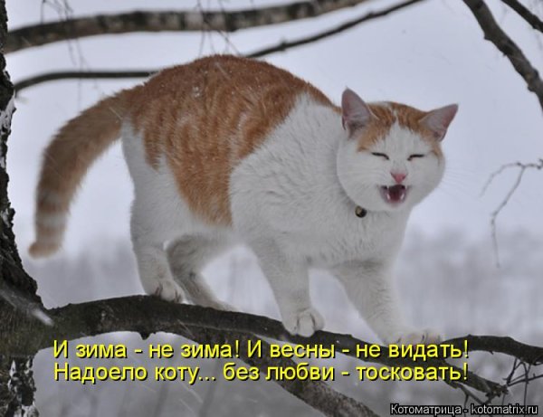 Замечательная зима выдалась этой весной