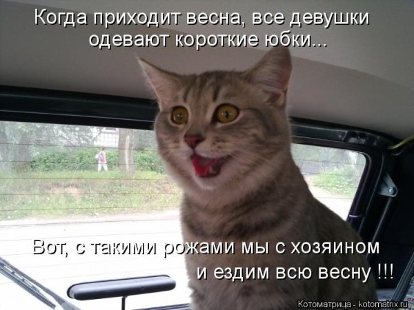 Зиму перезимовали и весну Перезимуем