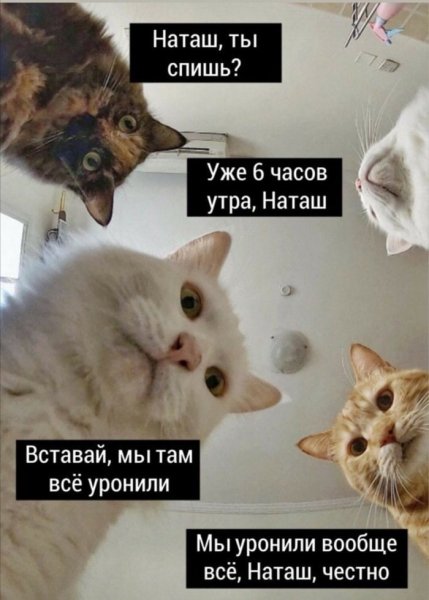 Потешки потягушки