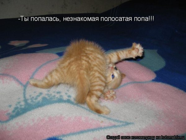 Чучело Масленицы мстит