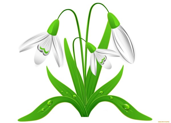 Незабудка вектор