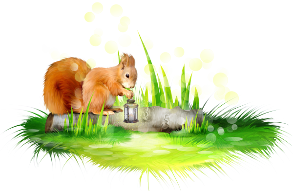 Сказочная травка