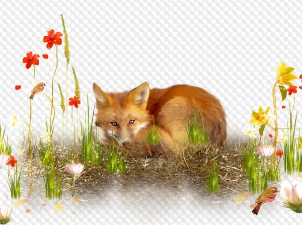 Звери в лесу на прозрачном фоне