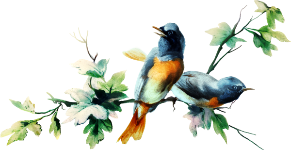 Весенние птицы на белом фоне