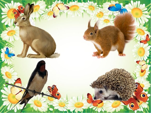 Белка в дупле для детей