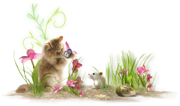 Четвертый лишний Дикие животные для дошкольников