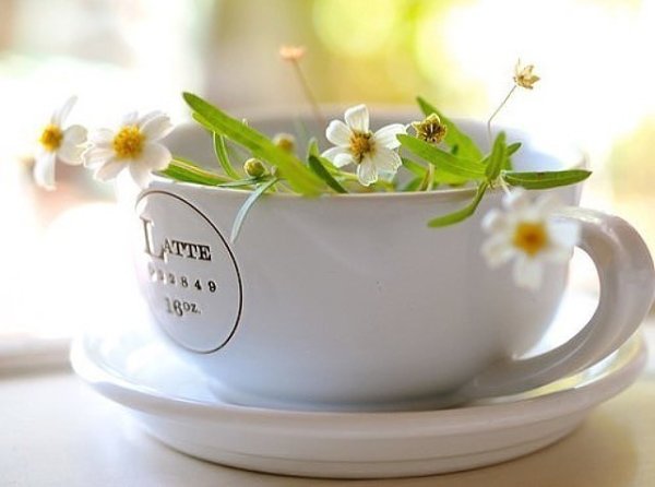 Весеннего субботнего дня