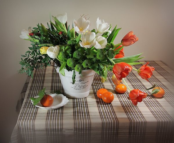 Солнечных весенних выходных