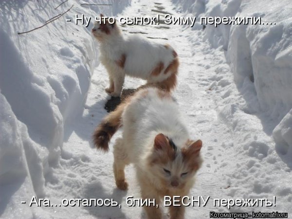 Приколы про зиму и весну