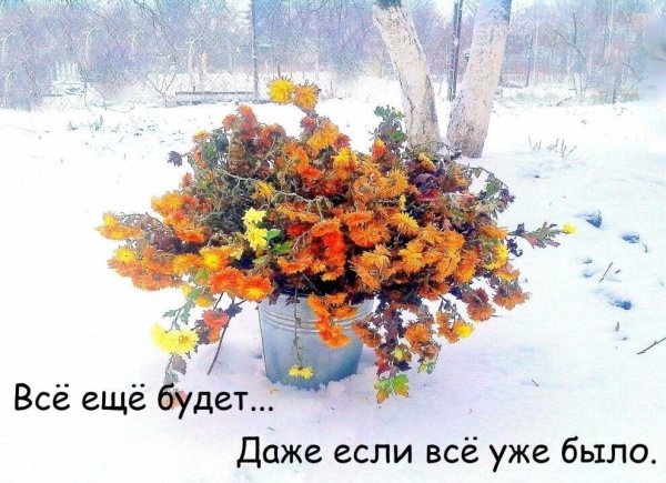 Ещё зимы не было а уже весны хочется