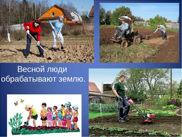 Презентация садовый инвентарь