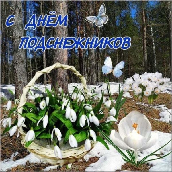 Февральское утро скоро Весна