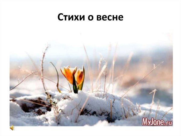 Доброе утро ранняя Весна