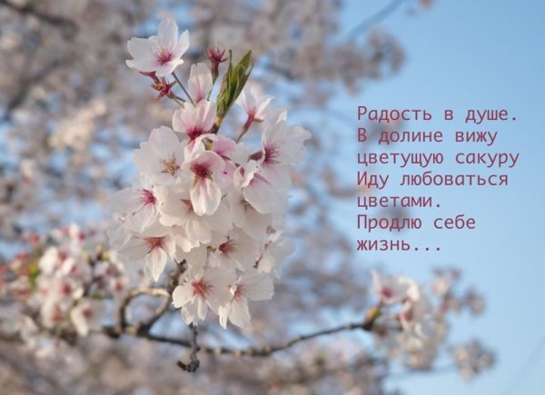 Сказочная Весна