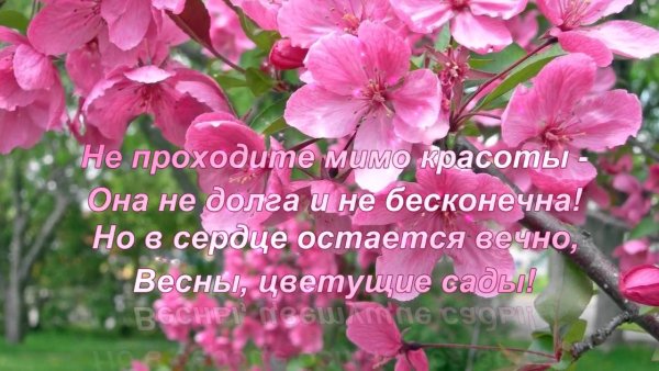 Стихи про капель