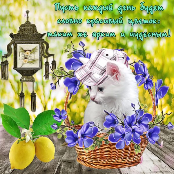 С новым чудесным днем