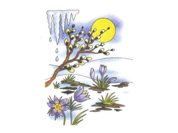 Как мы встречаем птиц