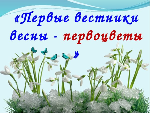 Первоцветы для детского сада