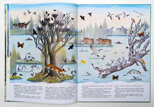 Книга в лесу Петр Багин