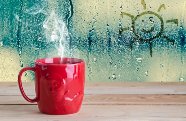 Доброедождливое висеная утро