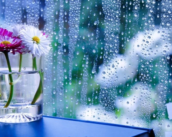 Доб.осен.дождливого утра