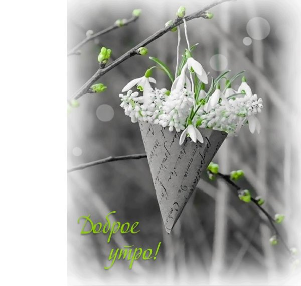 Доброе утро несмотря на дождь