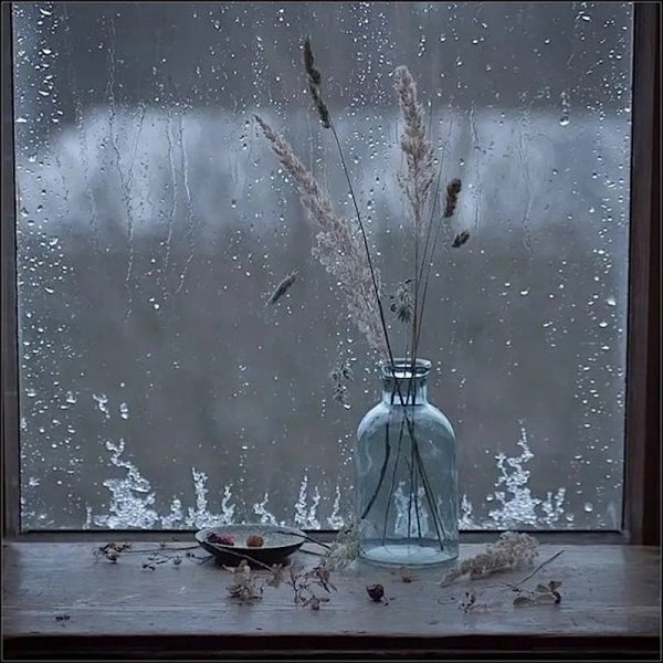 Осень чай окно