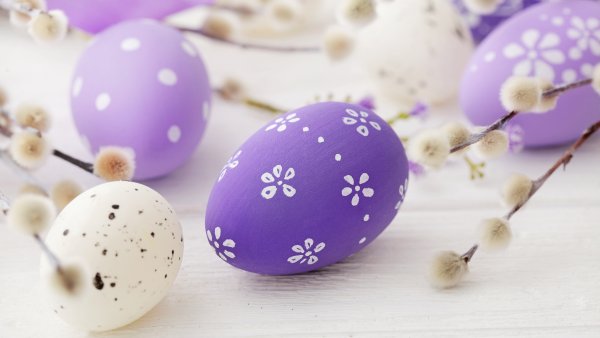 Пасха яйца Верба