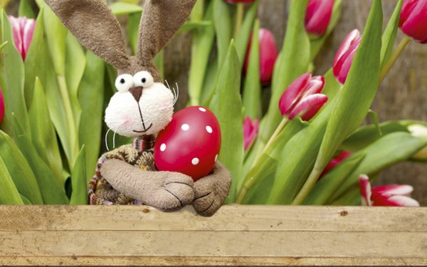 Весенние обои на рабочий стол красивые