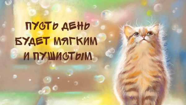 Хорошего настроения прикольные