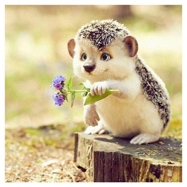 Афоризмы про настроение