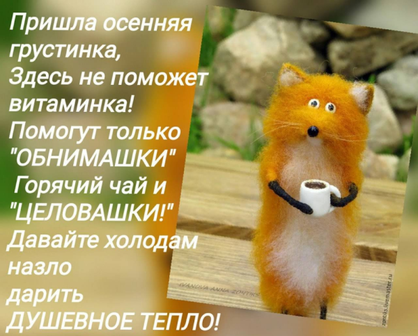 Позитивные цитаты