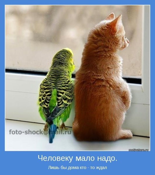 Открытки для поднятия насн