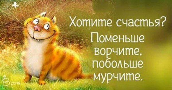 Позитивные пожелания на день