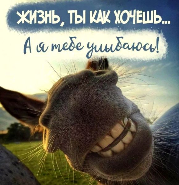 Четверг приколы